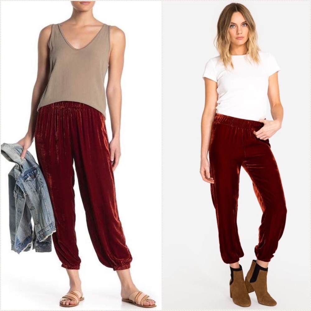Johnny Was Aurora velvet joggers
